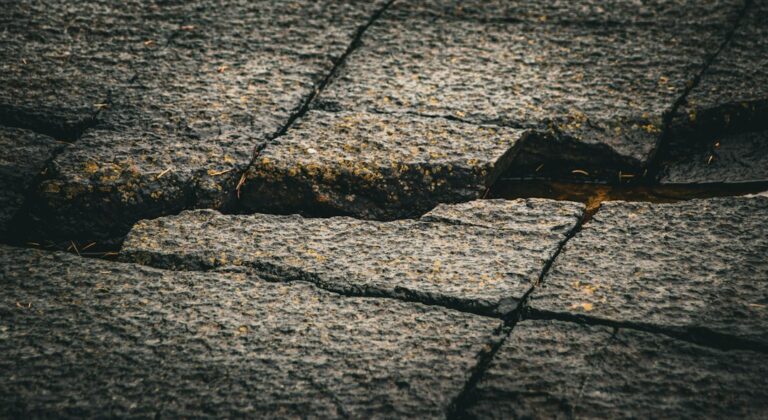 Sunlight falls across aging asphalt shingles with curled edges and scattered granules visible in a gutter.